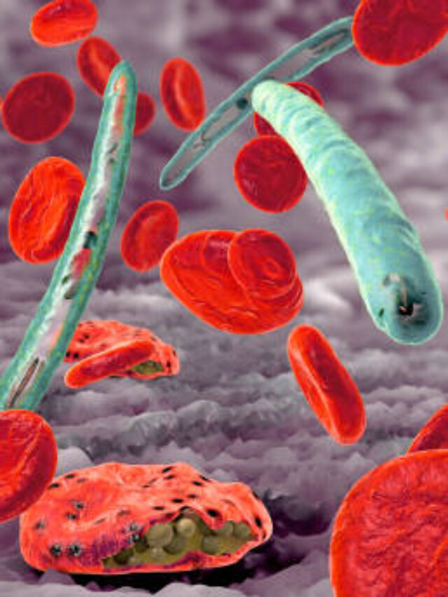 Malaria is a devastating disease caused by the Plasmodium parasite