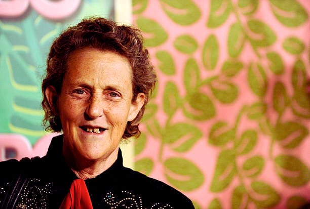 Meet the renowned animal behavior expert Dr. Temple Grandin - Cure Feelings Renowned animal behavior expert Dr. Temple Grandin