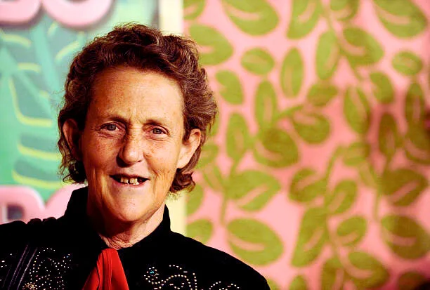 Meet the renowned animal behavior expert Dr. Temple Grandin - Cure Feelings Renowned animal behavior expert Dr. Temple Grandin