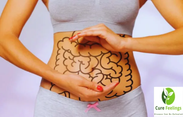 Gut health and Autism: A Vital Connection - Cure Feelings Gut health and Autism